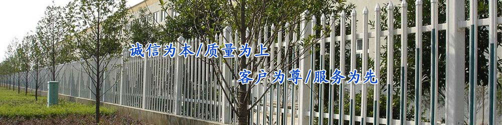 小師妹